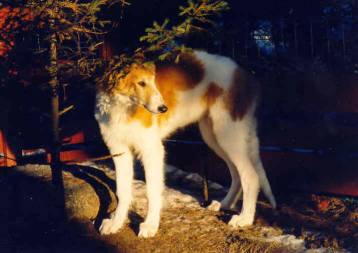 Photo:Charlotta Sevon