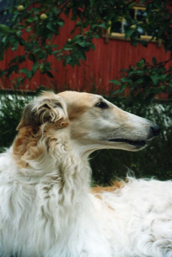 Photo:Charlotta Sevon