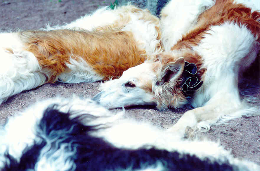 Photo:Charlotta Sevon