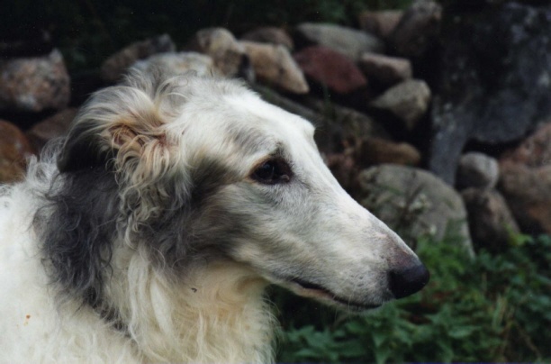 Photo:Charlotta Sevon