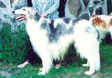 Photo:Charlotta Sevon